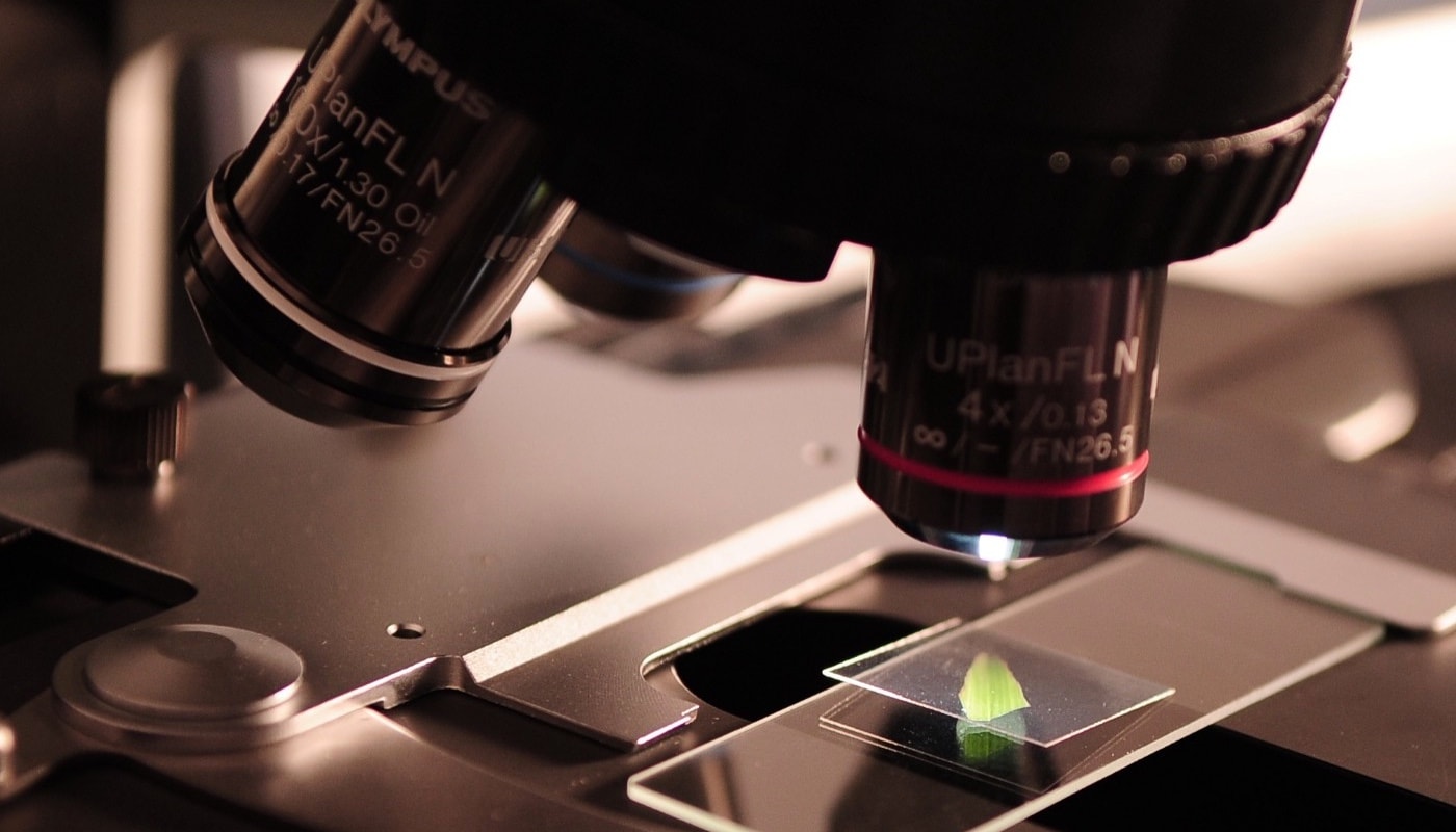 Microscope zoomed in.