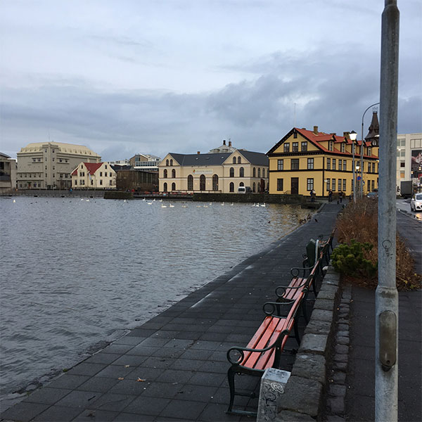 Reykjavik City Hall.